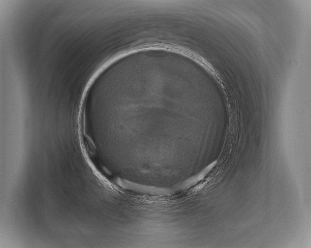 X0000110321536200905281622