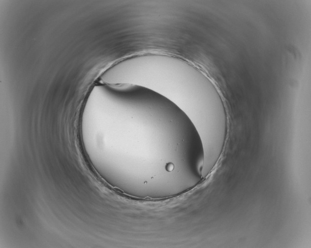 X0000110320001200906042053