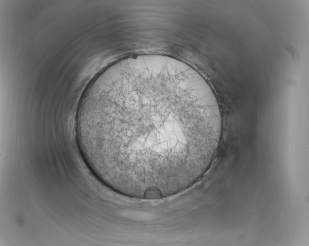 X0000110320002200906042053