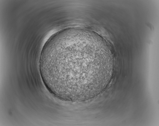 X0000110320003200906042053