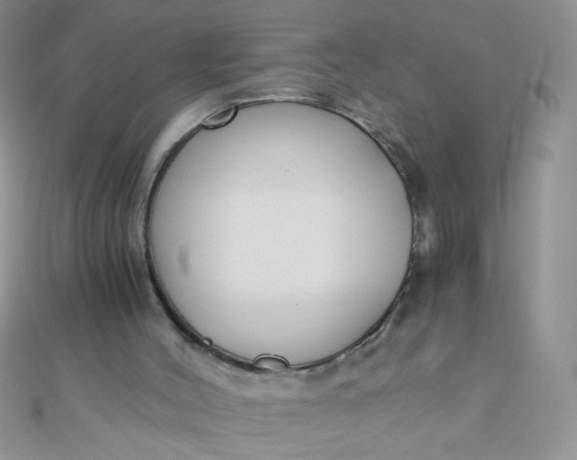 X0000110320004200906042053