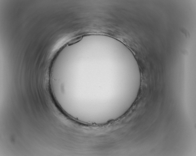 X0000110320005200906042053