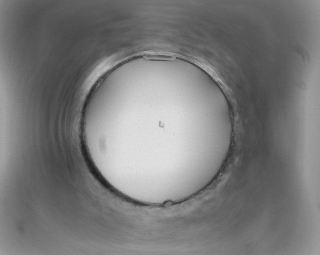 X0000110320007200906042053