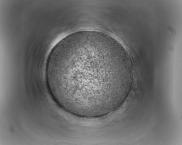 X0000110320008200906042053