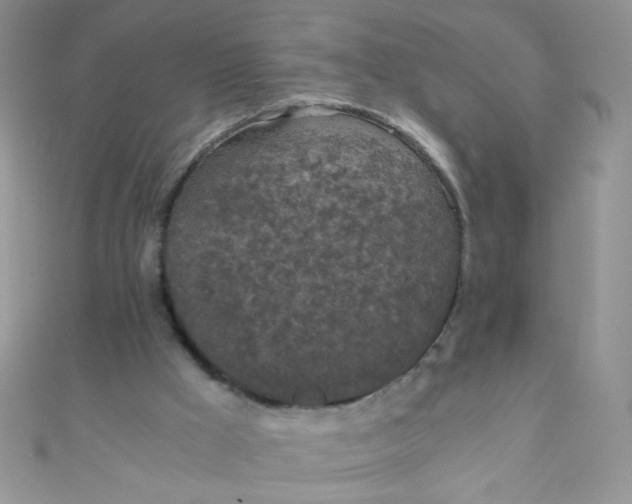 X0000110320009200906042053