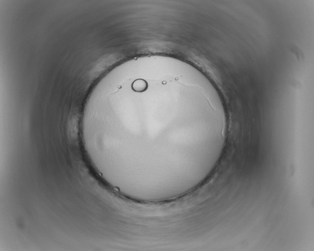 X0000110320010200906042053