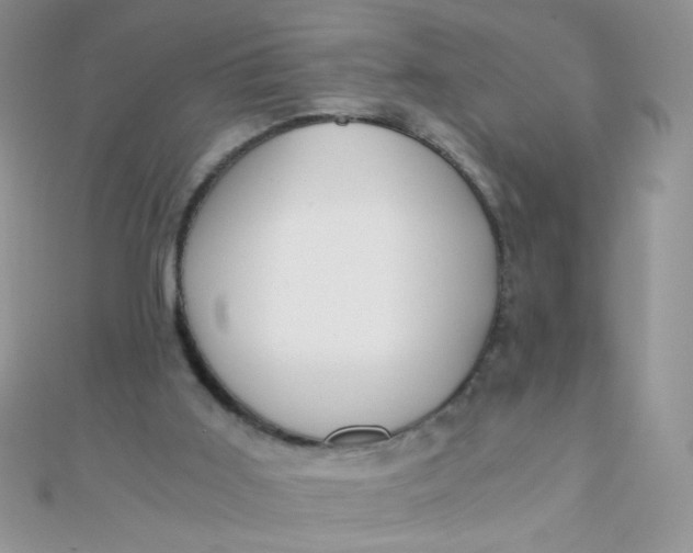 X0000110320011200906042053