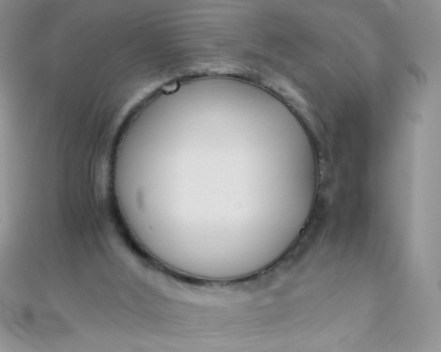 X0000110320012200906042053