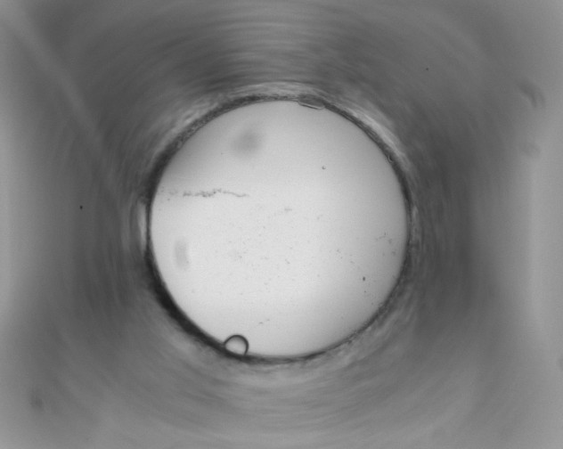 X0000110320013200906042053