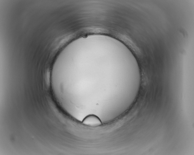 X0000110320014200906042053