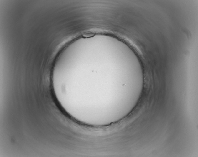 X0000110320015200906042053