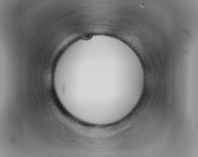 X0000110320016200906042053