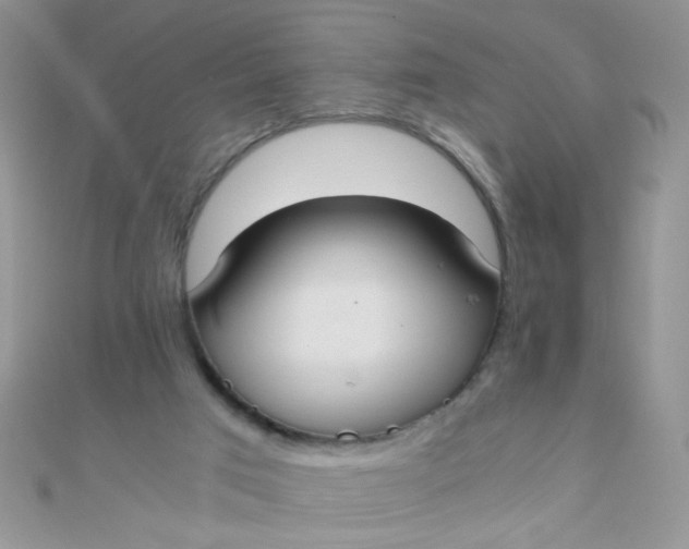 X0000110320017200906042053