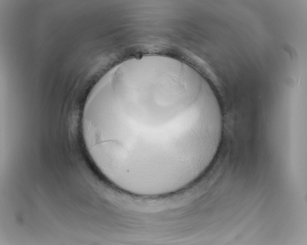 X0000110320018200906042053