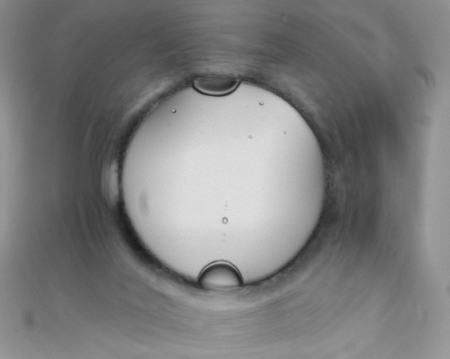 X0000110320020200906042053