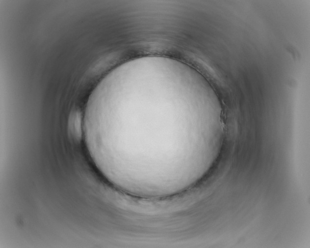 X0000110320022200906042053