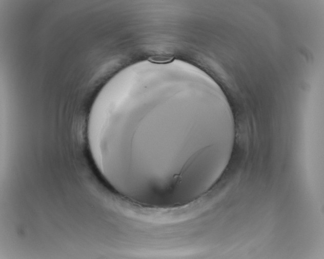 X0000110320023200906042052