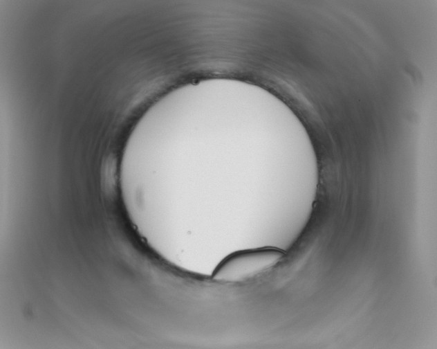 X0000110320024200906042052