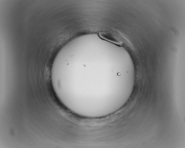 X0000110320025200906042052