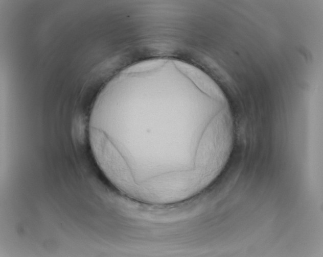 X0000110320026200906042052