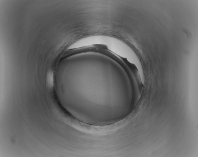 X0000110320027200906042052