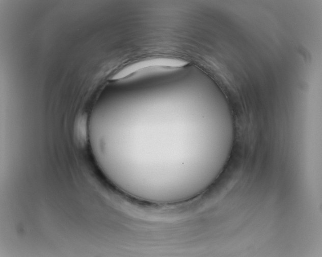 X0000110320028200906042052