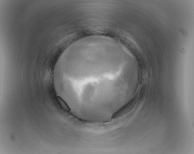 X0000110320029200906042052