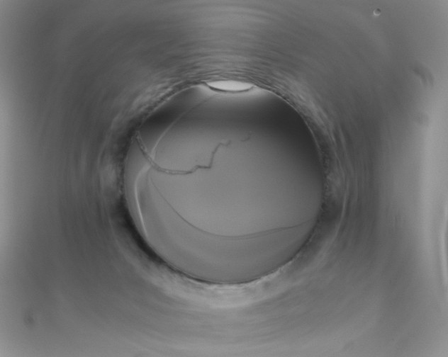 X0000110320031200906042052