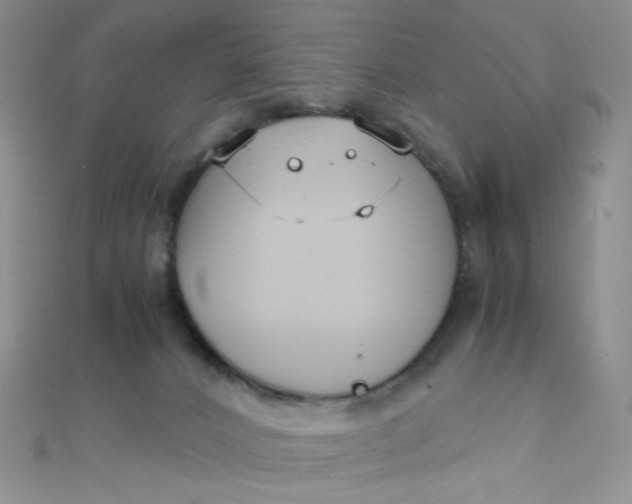 X0000110320032200906042052