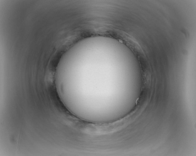 X0000110320033200906042052