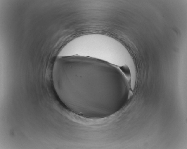 X0000110320035200906042052