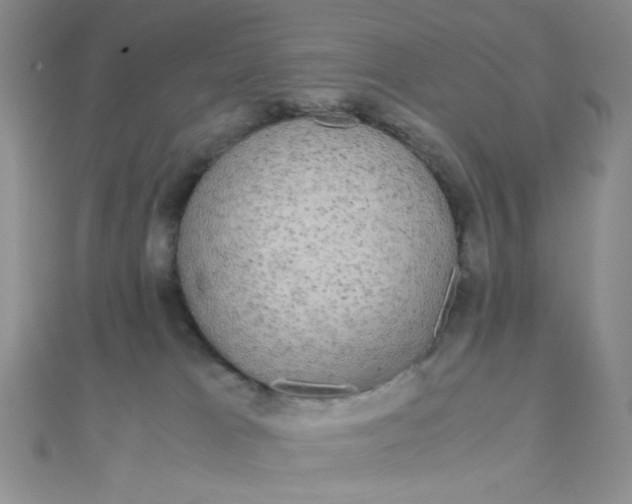 X0000110320037200906042052