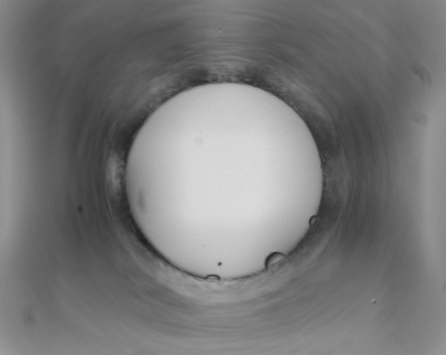 X0000110320038200906042052