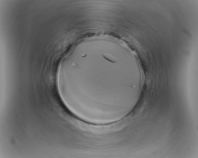 X0000110320039200906042052