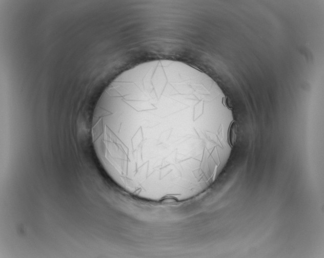 X0000110320040200906042052