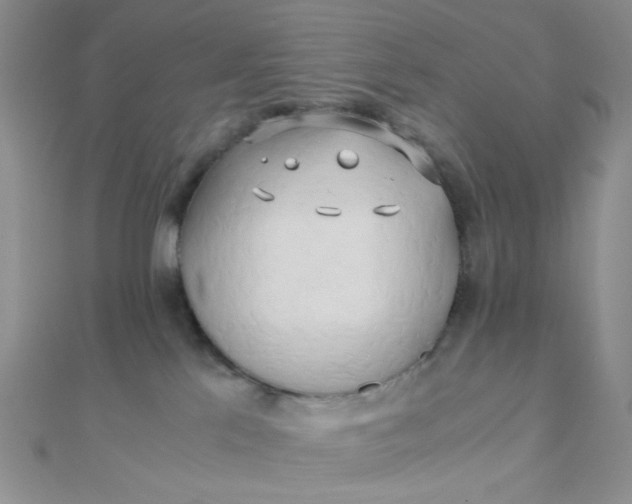 X0000110320041200906042052