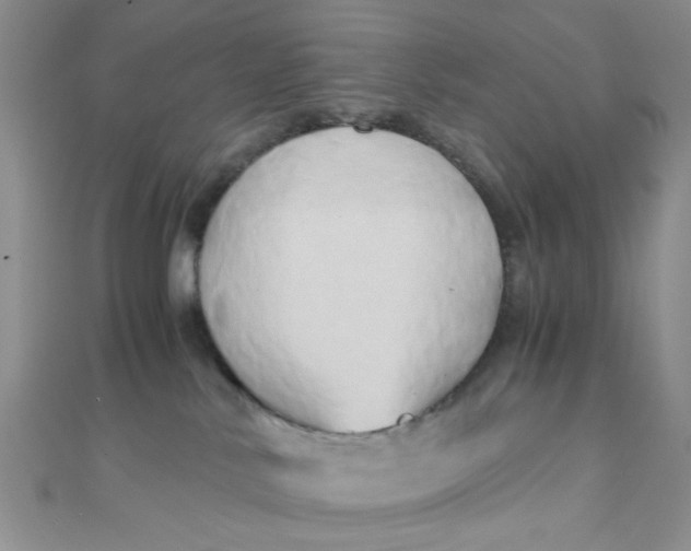 X0000110320042200906042052