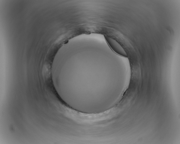 X0000110320043200906042052