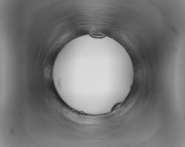 X0000110320044200906042052