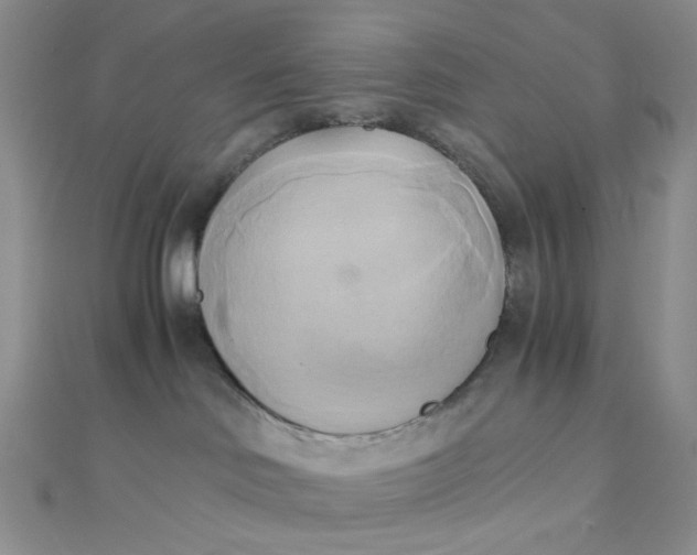 X0000110320046200906042052