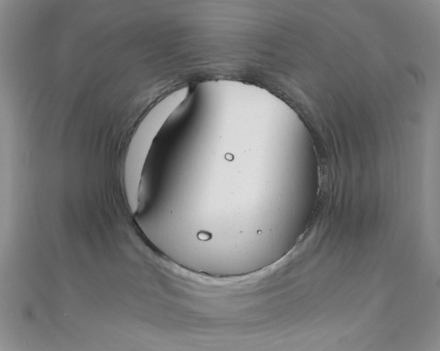 X0000110320047200906042052