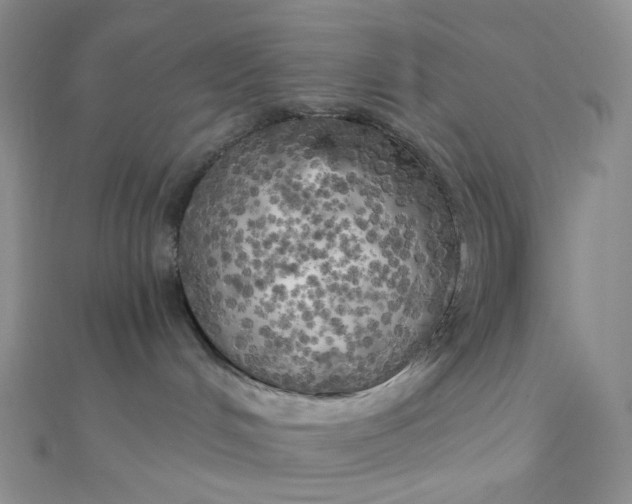 X0000110320048200906042052