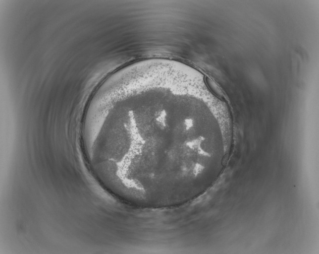 X0000110320049200906042052