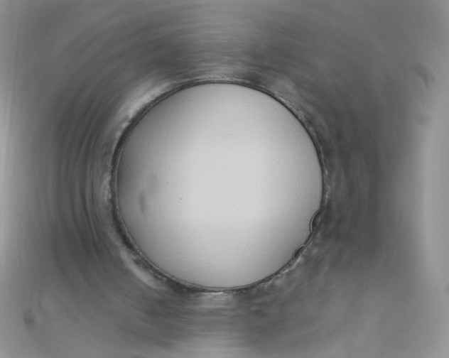 X0000110320050200906042052