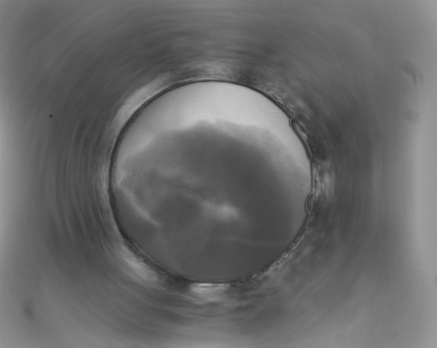 X0000110320051200906042052