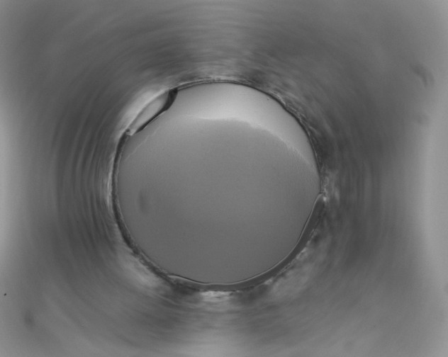 X0000110320052200906042052