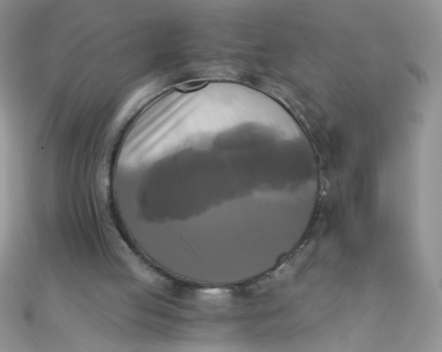 X0000110320053200906042052