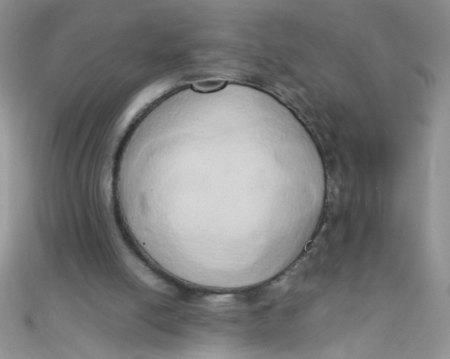 X0000110320054200906042052