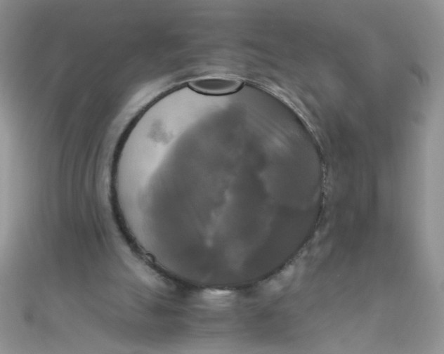 X0000110320055200906042052