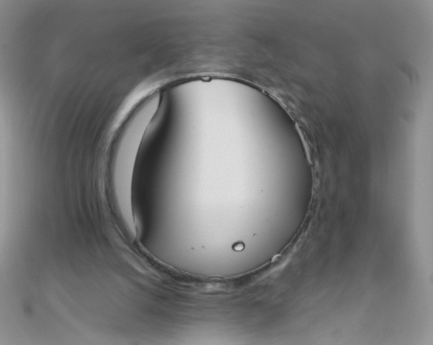 X0000110320056200906042052